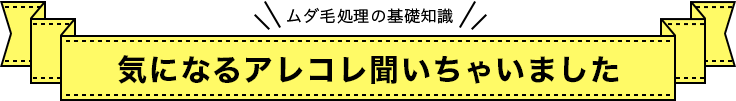 気になるアレコレ聞いちゃいました!