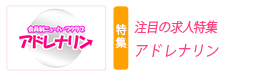 注目の求人特集　ひげガール